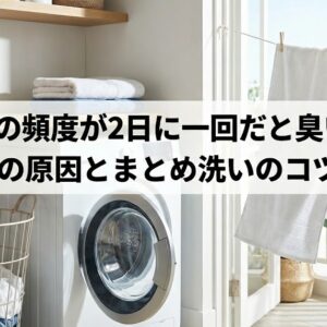 洗濯が2日に一回だと臭い！！ニオイの原因とまとめ洗いのコツと対策