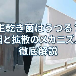 生乾き菌がうつる前に！洗濯のプロが教える原因と完全リセット術