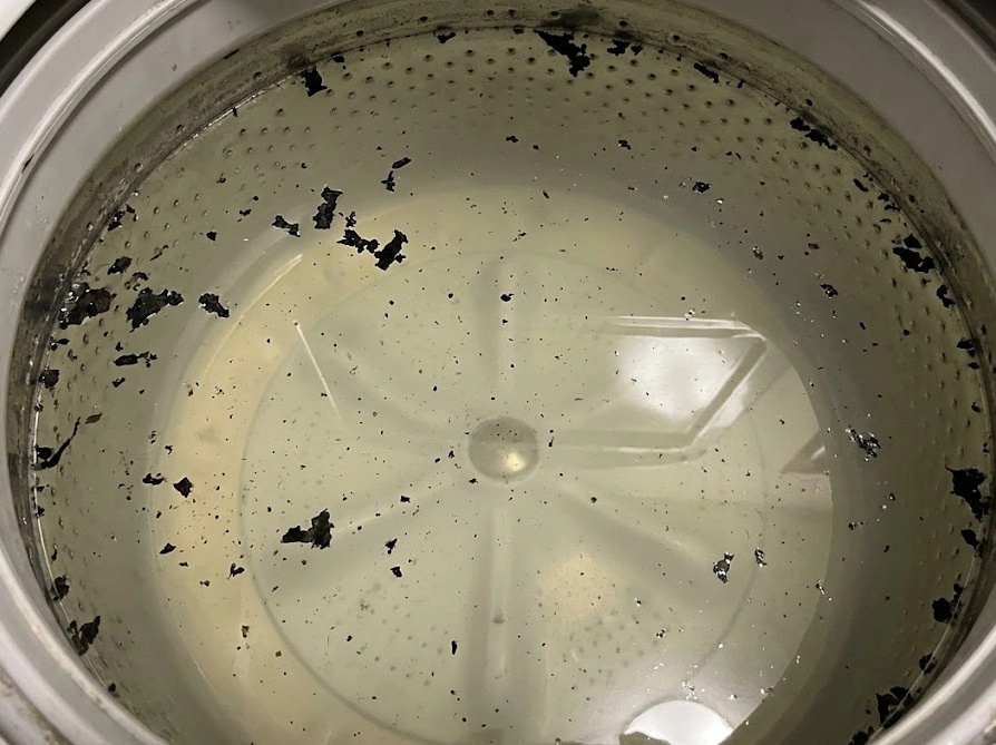 洗濯槽クリーニング後に浮き出た黒カビの汚れが見える洗濯機内部の様子