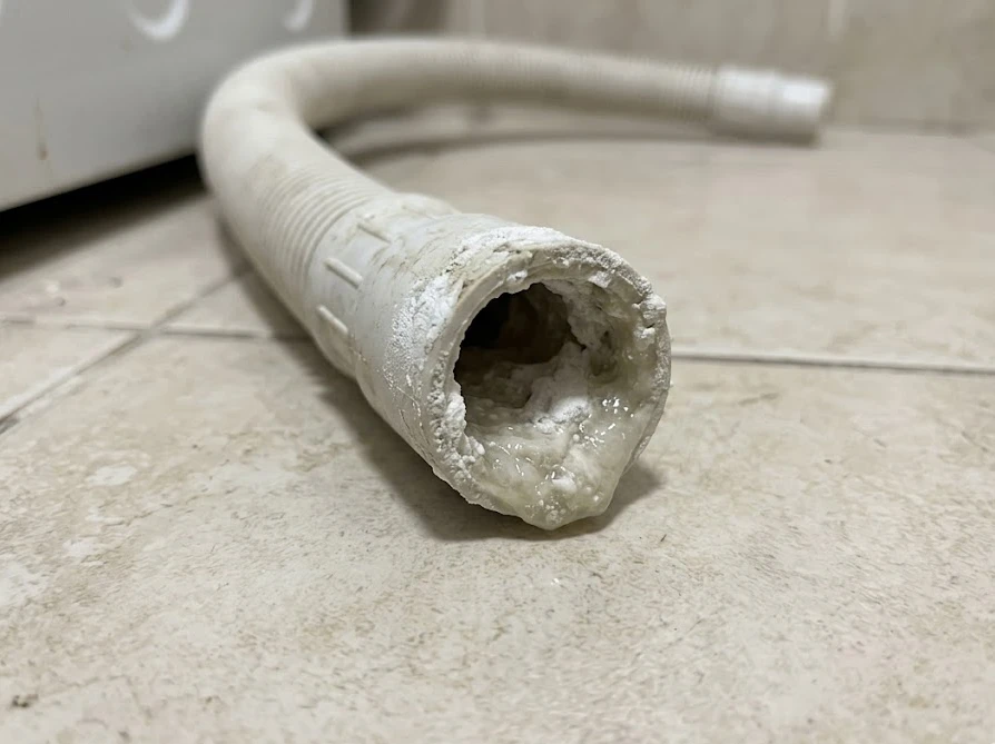 重曹の溶け残りが原因で、洗濯機の排水ホース内部に白い粉が詰まり固まっている様子